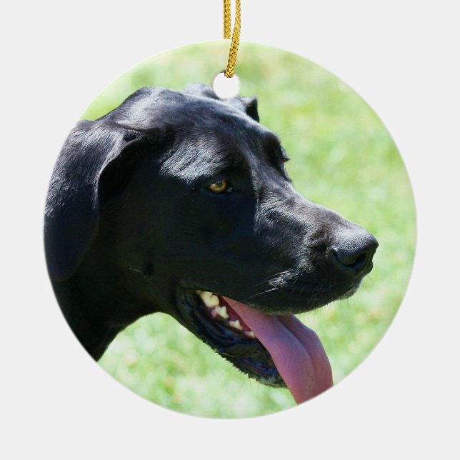 Cerâmica Ornamento preto de great dane (Frente)