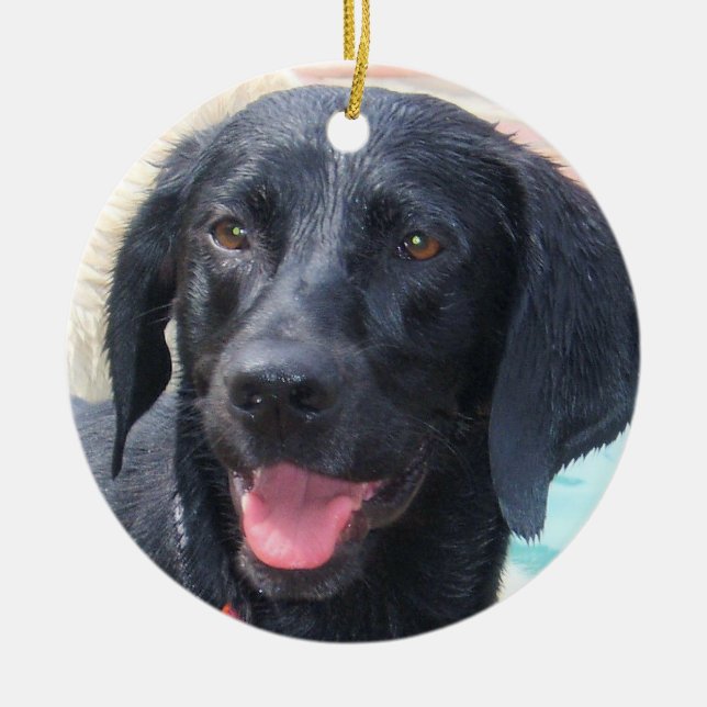 Cerâmica Ornamento preto de Labrador (Frente)