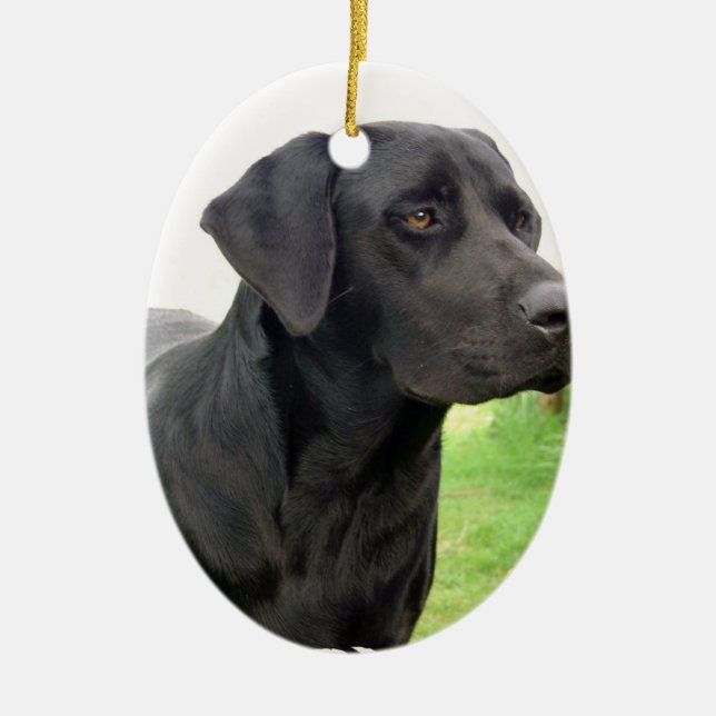 Cerâmica Ornamento preto de labrador retriever (Frente)