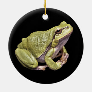 Cerâmica Ornamento preto verde pálido de Treefrog do sapo