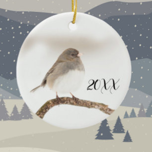 Cerâmica Pássaro na neve 2023 ornamento cerâmico de Natal