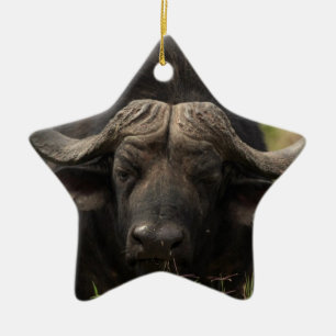 Cerâmica Pastando o ornamento do búfalo de água