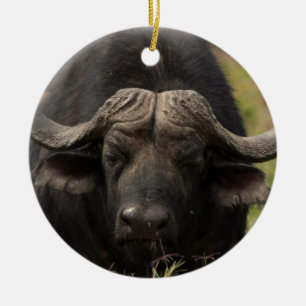 Cerâmica Pastando o ornamento do búfalo de água
