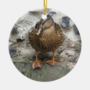 Cerâmica Pato em um Ornamento de Parede
