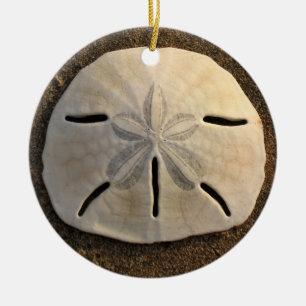 Cerâmica Pendente de Ornamento de Praia de Seashell de Dól