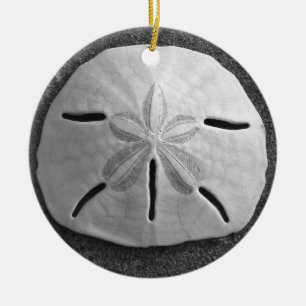 Cerâmica Pendente de Ornamento de Praia de Seashell de Dól
