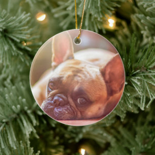 Cerâmica Personalize este Ornamento com a sua Imagem de Pet