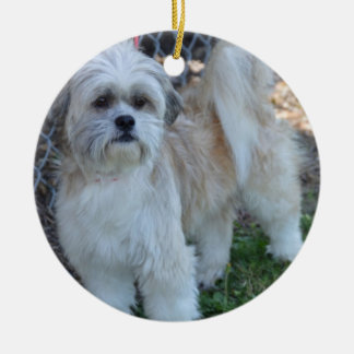 Cerâmica personalize ornamento da árvore de Natal da foto