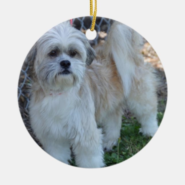 Cerâmica personalize ornamento da árvore de Natal da foto (Frente)