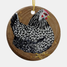 Pintinhos e Ornamento de Galinha