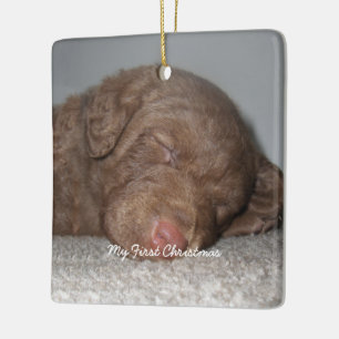 Cerâmica Puppy Meu Primeiro Ornamento Fotográfico De Natal