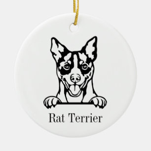 Cerâmica Rat Terrier, ornamento de cão
