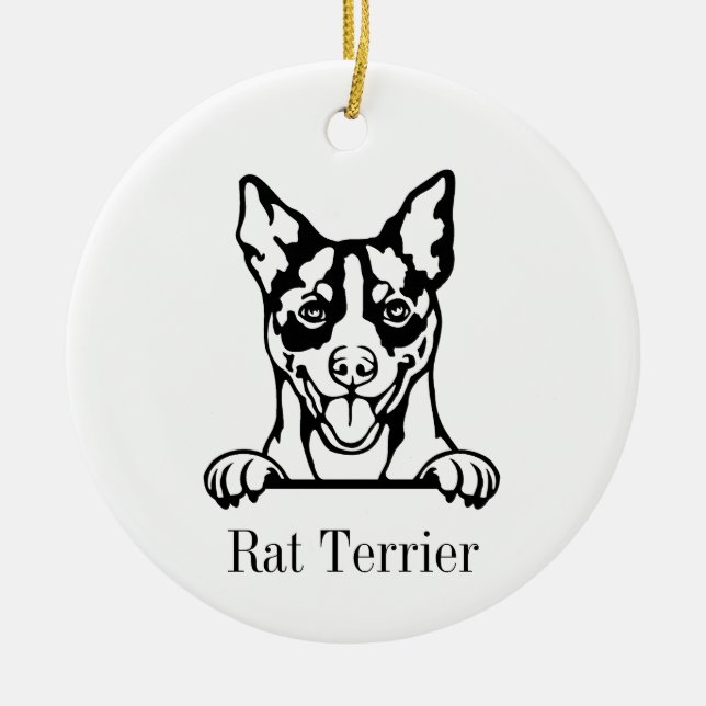 Cerâmica Rat Terrier, ornamento de cão (Frente)