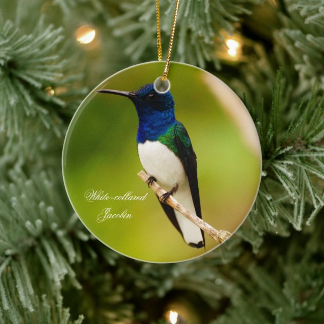 Cerâmica Retrato de Ornamento Redondo de Contemplação (Árvore)