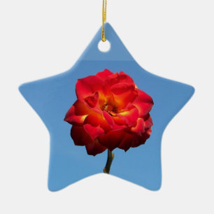 Cerâmica Rosa Phoenix no ornamento de estrela-do-céu