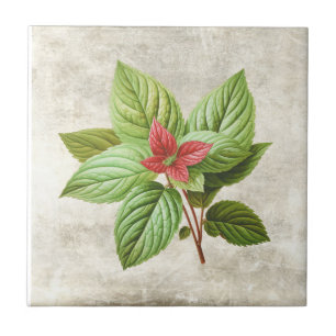 Cerâmica Rústica Shabby Chic com Folhagem