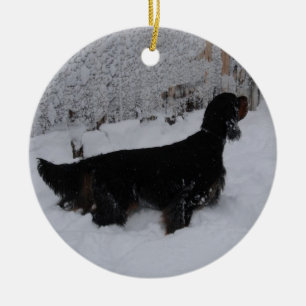 Cerâmica Setter de Gordon em um ornamento da tempestade de