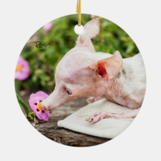 Cerâmica Tudo ornamento da foto de Rosie