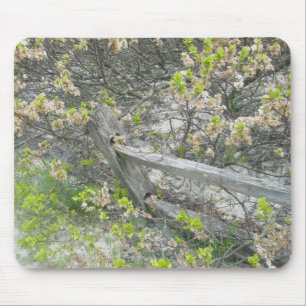 Cerca Contra Dunes IBSP Mousepad