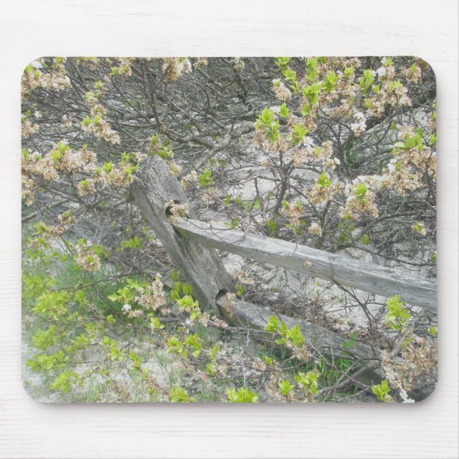 Cerca Contra Dunes IBSP Mousepad (Frente)