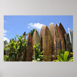 Cerca da prancha de Maui do poster