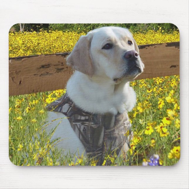 Cerca de labrador retriever Mousepad (Frente)