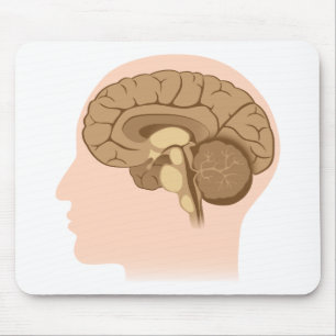 Cérebro humano Mousepad