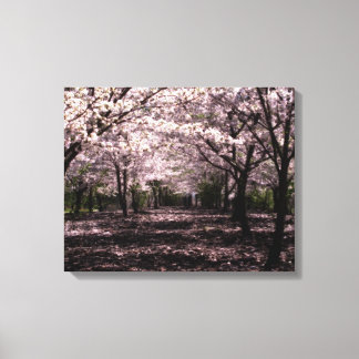 cereja floresce canvas