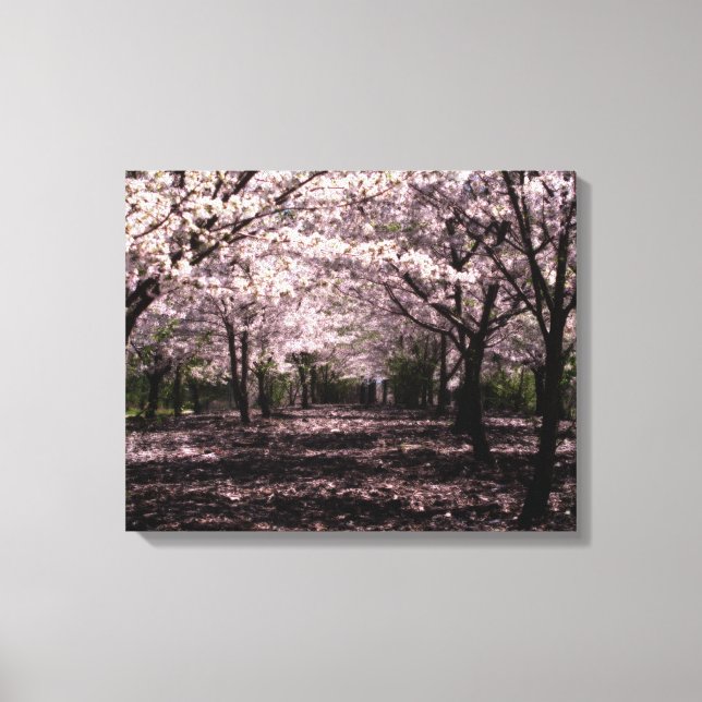 cereja floresce canvas (Frente)