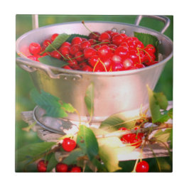 Cereja, Jardim de Algodão Rosalinde