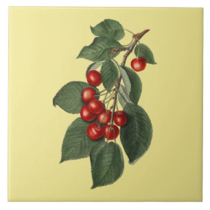 Cerejas ~ Azulejo Botânico ~ Cozinha ~ Qualquer Co