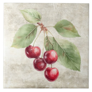 Cerejas Rústicas Frutas Aquarela