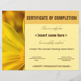 Certificado de conclusão