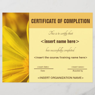 Certificado de conclusão