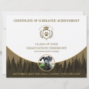 Certificado de Graduação de Pet Diploma de Treinam
