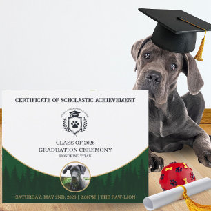 Certificado de Graduação de Pet Diploma de Treinam