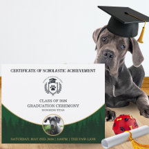 Certificado de Graduação Pet Diploma de Treinament