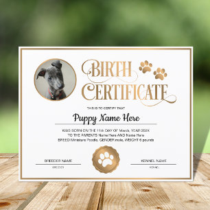 Certificado de Nascimento de Puppy Inserir Impress