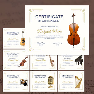 Certificado de Premiação do Curso de Cordas de Vio