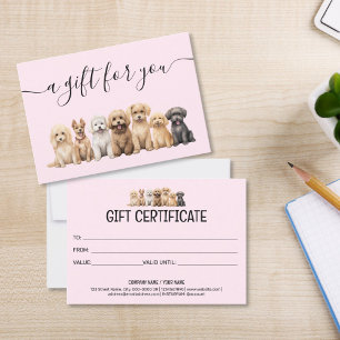 Certificado de Presente Cão de Alinhamento Pet Sit