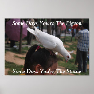 Certos dias você é o poster da estátua do pombo…