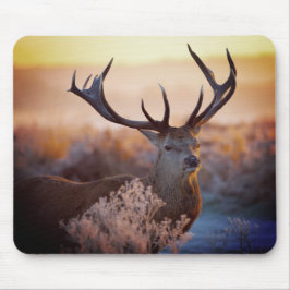 Cervo Vermelho no Início da Manhã, Mouse Pad