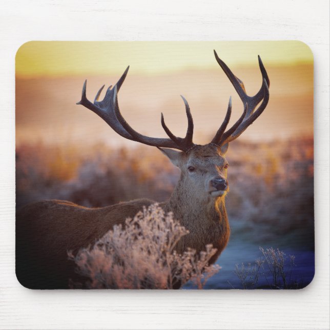 Cervo Vermelho no Início da Manhã, Mouse Pad (Frente)