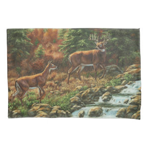 Cervos de Whitetail e cachoeira