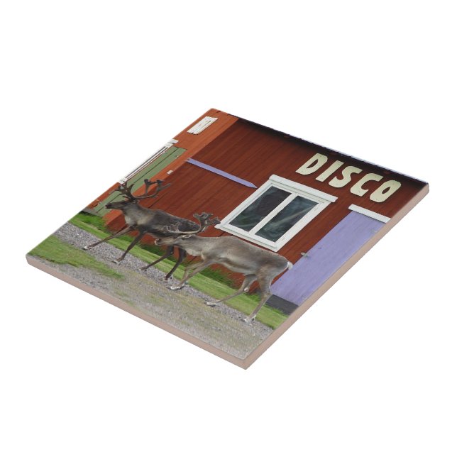 CERVOS DO DISCO (Lateral)