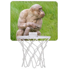 Cesta De Basquete De Brinquedo Chimpanzé sem Cabelos
