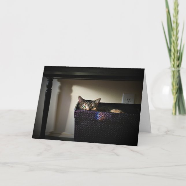 Cesto de Gato, cartão (Frente)