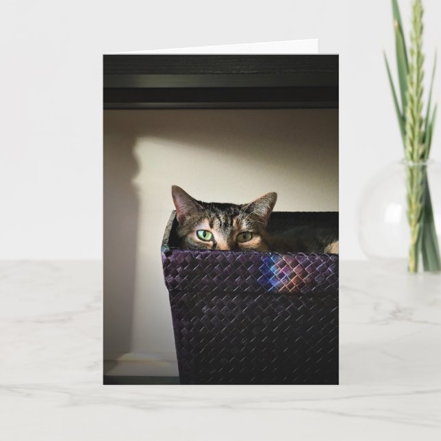 Cesto de Gato, cartão (Frente)