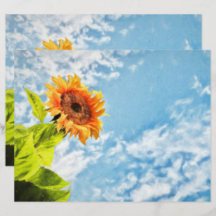 Céu Azul De Girassol E Nuvens Desfazem Arte Fina