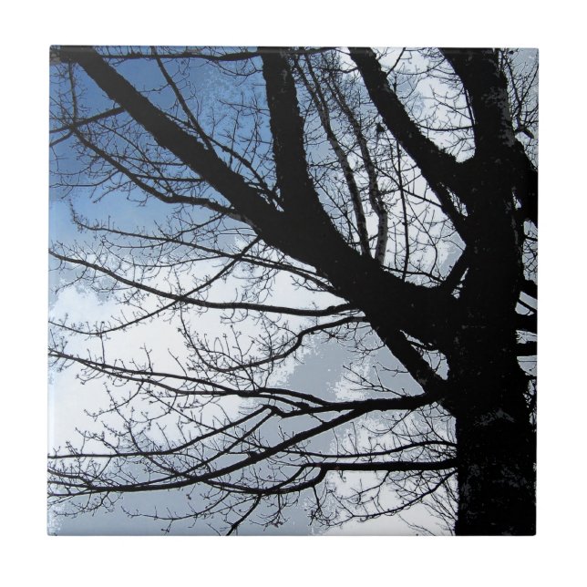 Céu Azul e Arte em Árvore Alder (Frente)